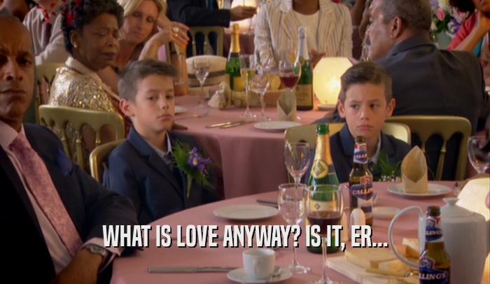WHAT IS LOVE ANYWAY? IS IT, ER...  