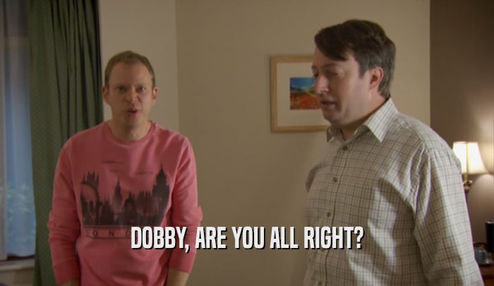 DOBBY, ARE YOU ALL RIGHT?  