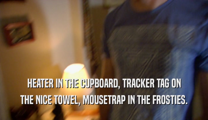 HEATER IN THE CUPBOARD, TRACKER TAG ON THE NICE TOWEL, MOUSETRAP IN THE FROSTIES. 
