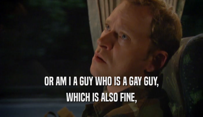 OR AM I A GUY WHO IS A GAY GUY, WHICH IS ALSO FINE, 