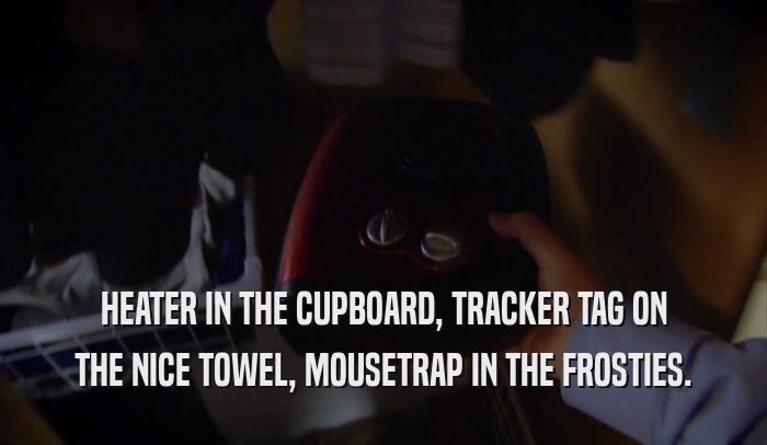 HEATER IN THE CUPBOARD, TRACKER TAG ON THE NICE TOWEL, MOUSETRAP IN THE FROSTIES. 