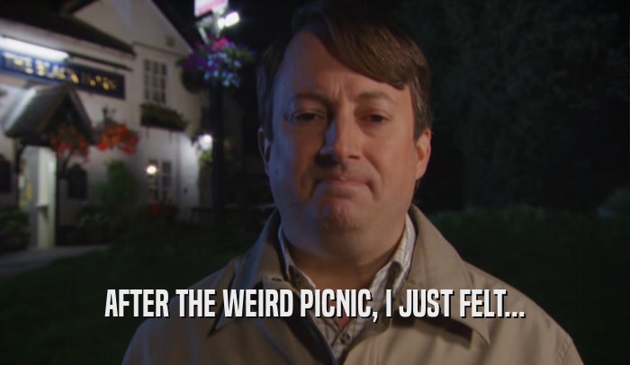 AFTER THE WEIRD PICNIC, I JUST FELT...  