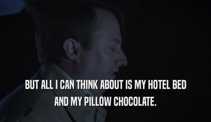 BUT ALL I CAN THINK ABOUT IS MY HOTEL BED AND MY PILLOW CHOCOLATE. 