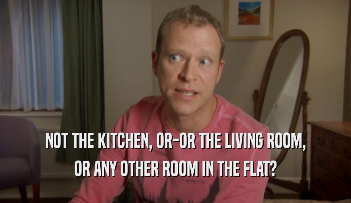 NOT THE KITCHEN, OR-OR THE LIVING ROOM, OR ANY OTHER ROOM IN THE FLAT? 