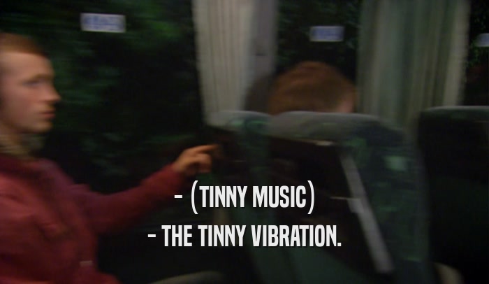 - (TINNY MUSIC) - THE TINNY VIBRATION. 