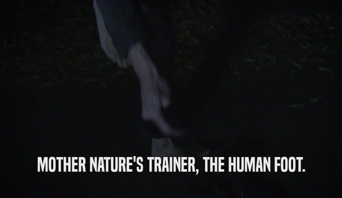 MOTHER NATURE'S TRAINER, THE HUMAN FOOT.  