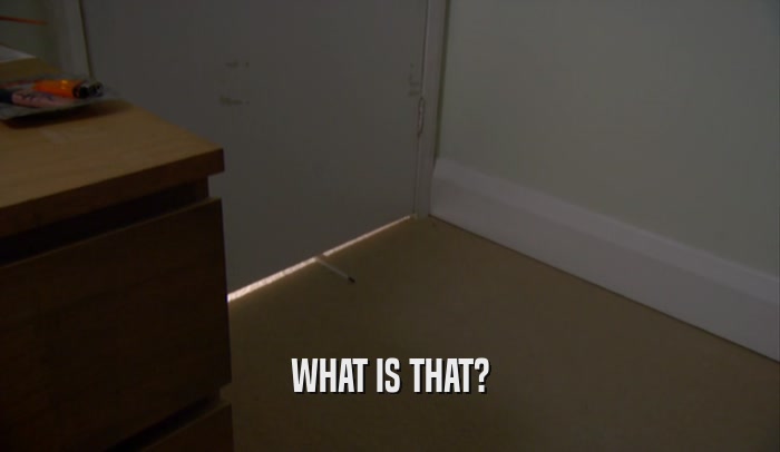 WHAT IS THAT?  