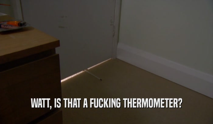 WATT, IS THAT A FUCKING THERMOMETER?  