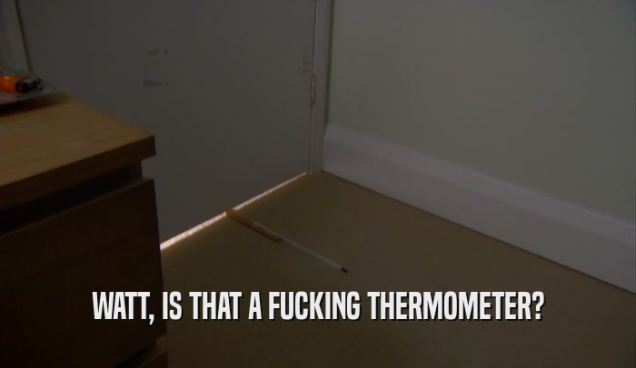WATT, IS THAT A FUCKING THERMOMETER?  