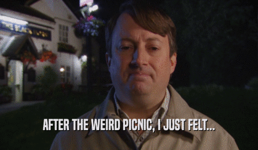 AFTER THE WEIRD PICNIC, I JUST FELT...  