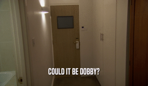 COULD IT BE DOBBY?  