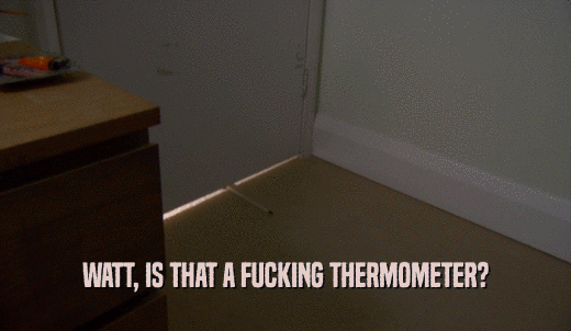 WATT, IS THAT A FUCKING THERMOMETER?  