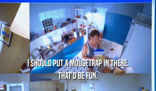 I SHOULD PUT A MOUSETRAP IN THERE. THAT'D BE FUN. 