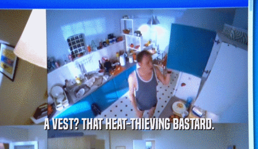 A VEST? THAT HEAT-THIEVING BASTARD.  