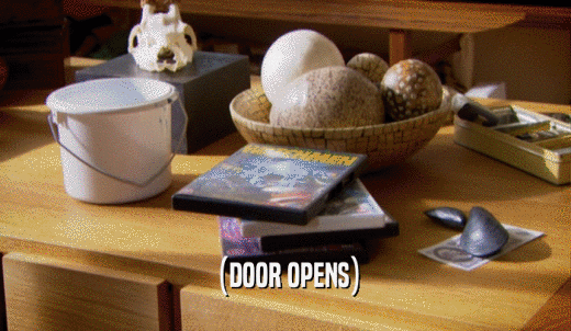 (DOOR OPENS)  