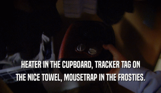 HEATER IN THE CUPBOARD, TRACKER TAG ON THE NICE TOWEL, MOUSETRAP IN THE FROSTIES. 