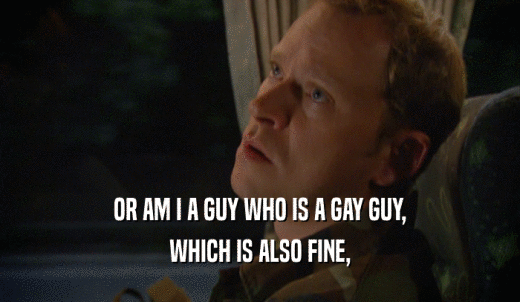 OR AM I A GUY WHO IS A GAY GUY, WHICH IS ALSO FINE, 