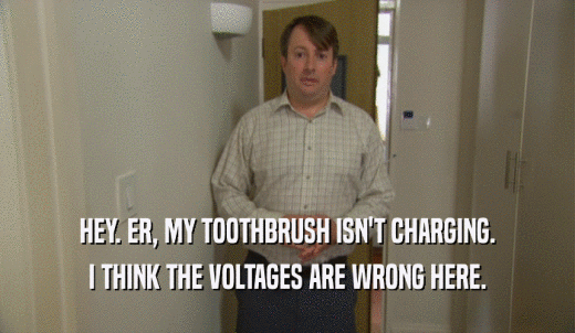 HEY. ER, MY TOOTHBRUSH ISN'T CHARGING. I THINK THE VOLTAGES ARE WRONG HERE. 