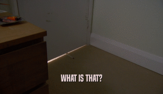 WHAT IS THAT?  