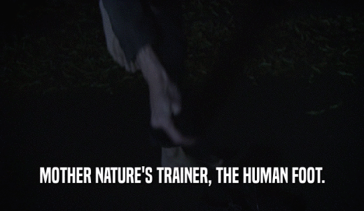 MOTHER NATURE'S TRAINER, THE HUMAN FOOT.  