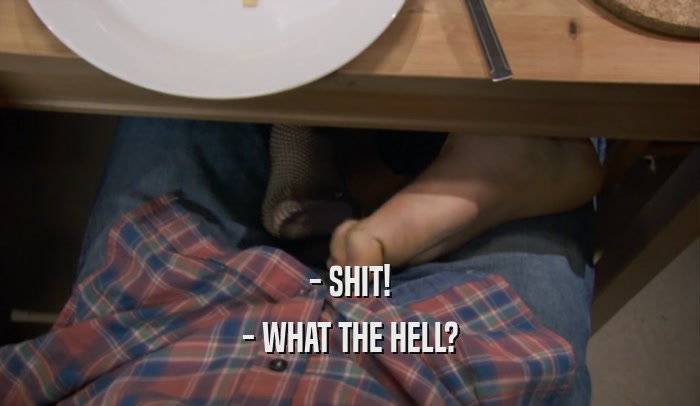- SHIT! - WHAT THE HELL? 