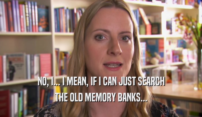 NO, I... I MEAN, IF I CAN JUST SEARCH THE OLD MEMORY BANKS... 