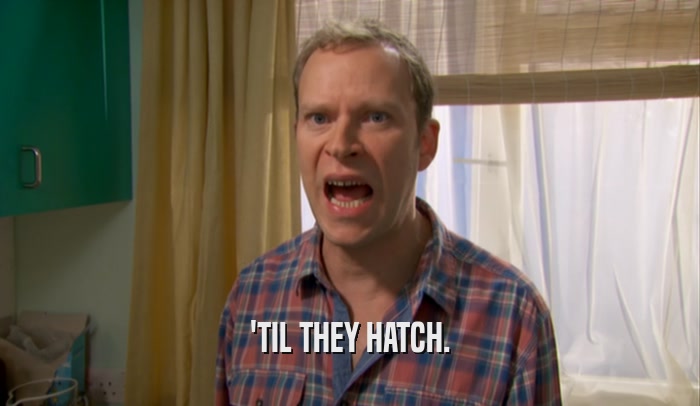 'TIL THEY HATCH.  