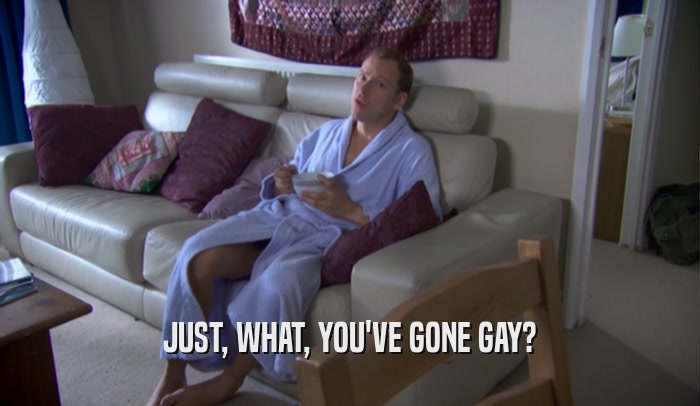 JUST, WHAT, YOU'VE GONE GAY?  