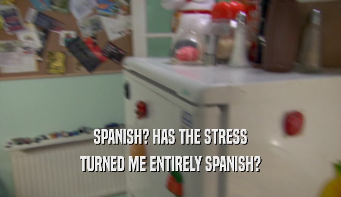 SPANISH? HAS THE STRESS TURNED ME ENTIRELY SPANISH? 
