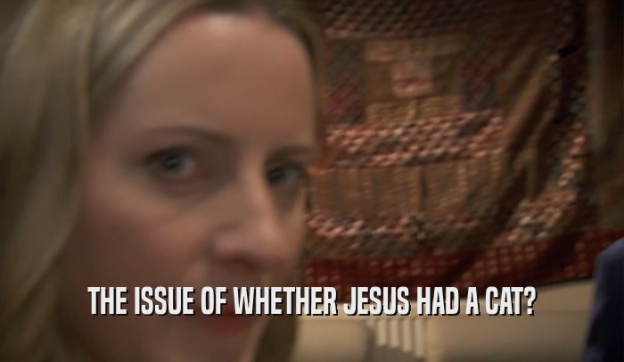 THE ISSUE OF WHETHER JESUS HAD A CAT?  