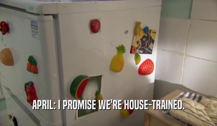 APRIL: I PROMISE WE'RE HOUSE-TRAINED.
  