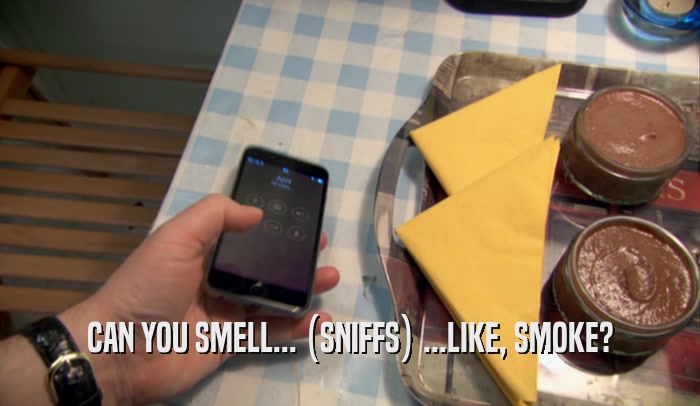 CAN YOU SMELL... (SNIFFS) ...LIKE, SMOKE?  