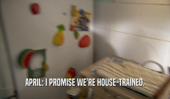 APRIL: I PROMISE WE'RE HOUSE-TRAINED.
  