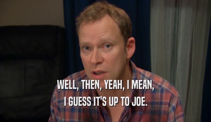 WELL, THEN, YEAH, I MEAN, I GUESS IT'S UP TO JOE. 