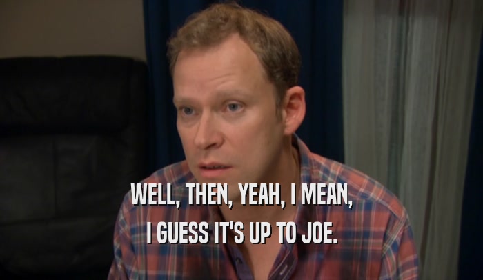 WELL, THEN, YEAH, I MEAN, I GUESS IT'S UP TO JOE. 