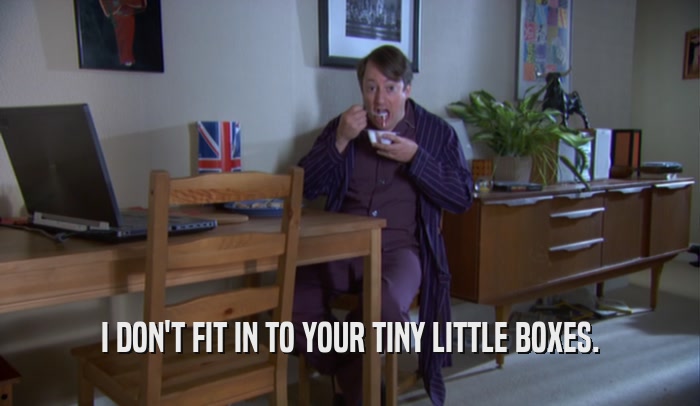 I DON'T FIT IN TO YOUR TINY LITTLE BOXES.  