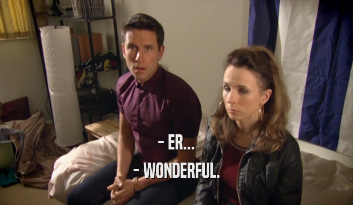 - ER... - WONDERFUL. 