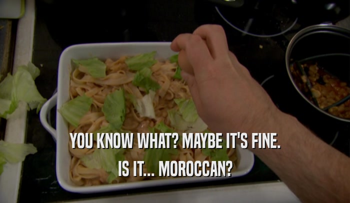 YOU KNOW WHAT? MAYBE IT'S FINE. IS IT... MOROCCAN? 