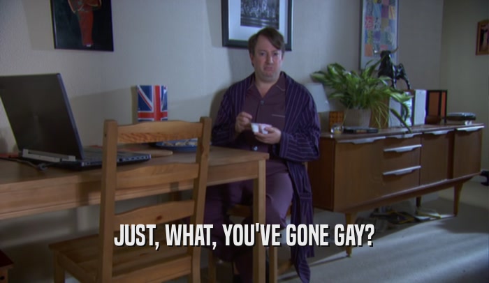 JUST, WHAT, YOU'VE GONE GAY?  