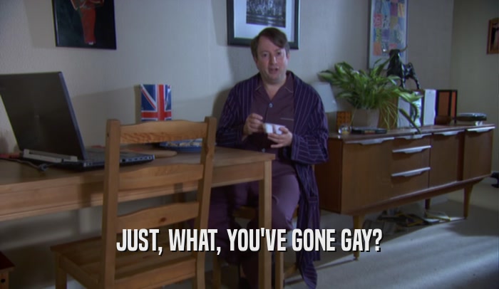 JUST, WHAT, YOU'VE GONE GAY?  