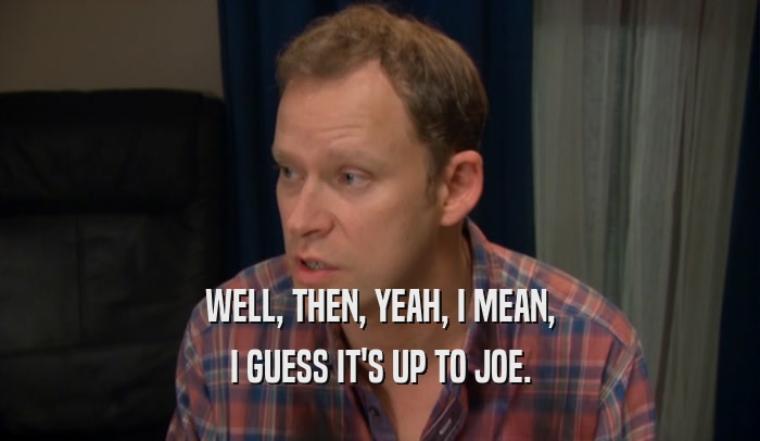 WELL, THEN, YEAH, I MEAN, I GUESS IT'S UP TO JOE. 