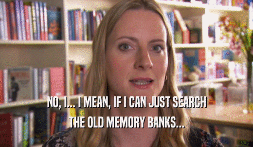 NO, I... I MEAN, IF I CAN JUST SEARCH THE OLD MEMORY BANKS... 