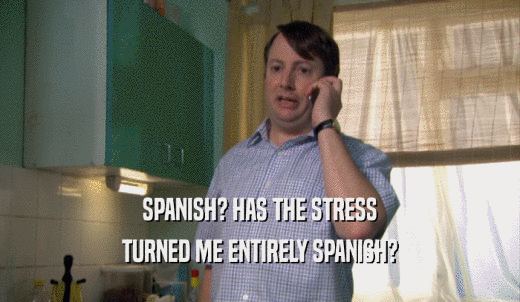 SPANISH? HAS THE STRESS TURNED ME ENTIRELY SPANISH? 