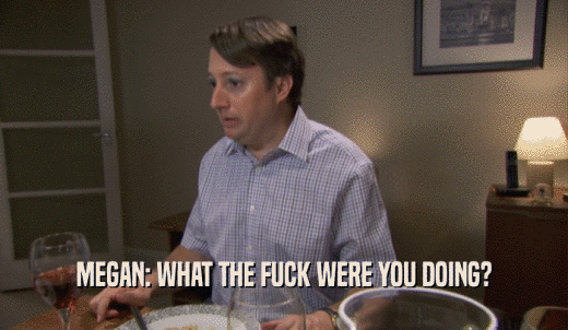MEGAN: WHAT THE FUCK WERE YOU DOING?  