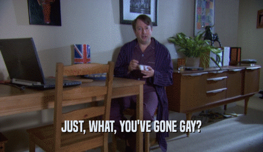 JUST, WHAT, YOU'VE GONE GAY?  
