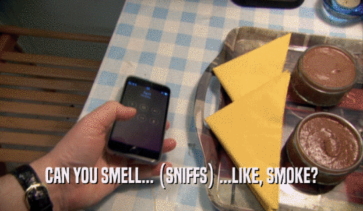 CAN YOU SMELL... (SNIFFS) ...LIKE, SMOKE?  