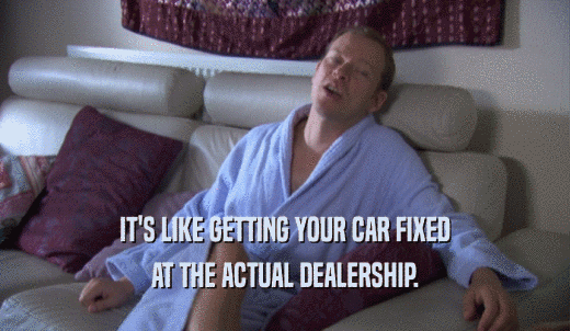 IT'S LIKE GETTING YOUR CAR FIXED AT THE ACTUAL DEALERSHIP. 