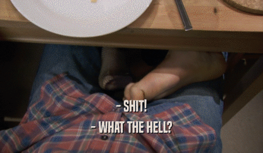 - SHIT! - WHAT THE HELL? 