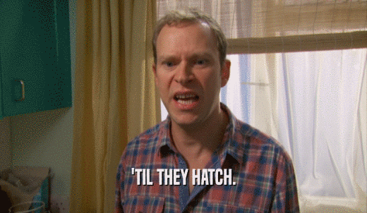 'TIL THEY HATCH.  