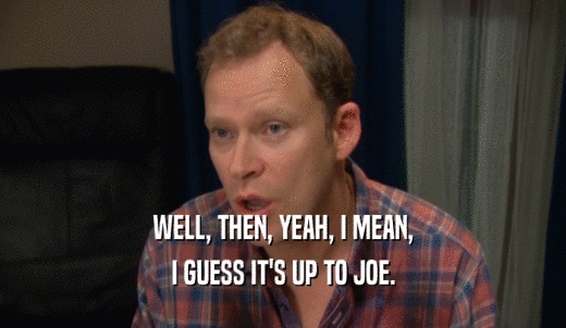 WELL, THEN, YEAH, I MEAN, I GUESS IT'S UP TO JOE. 